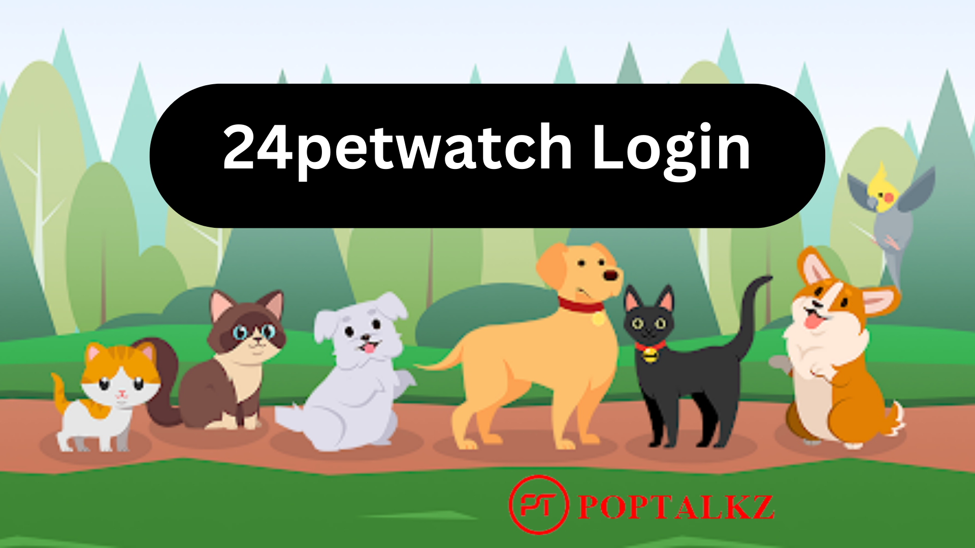 24petwatch-login-best-step-on-how-to-login-to-24petwatch